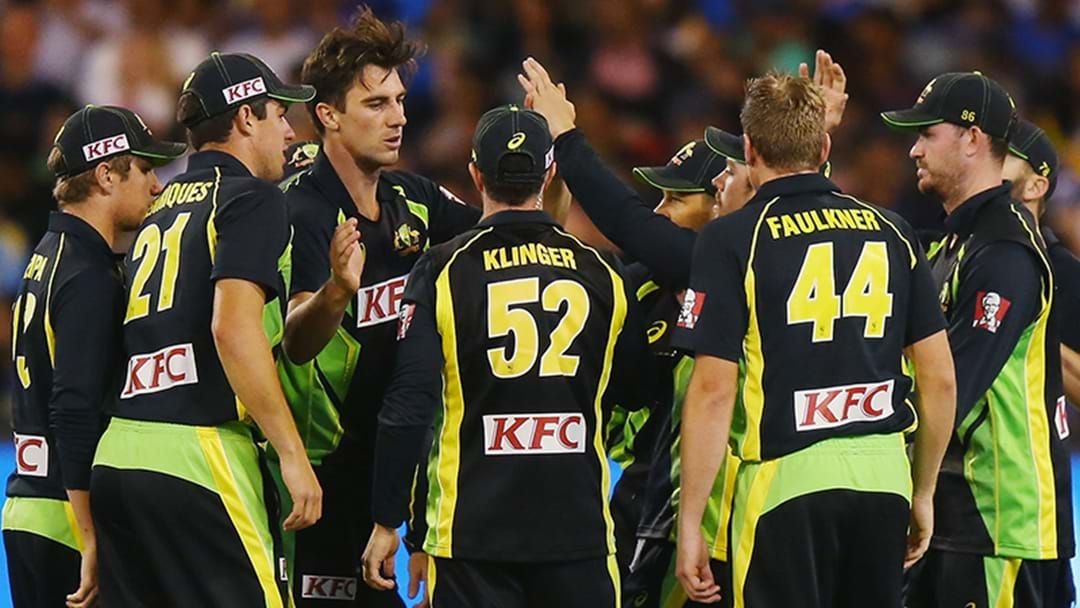 Article heading image for Former Australian Spinner Tees Off After T20 Loss To Sri Lanka