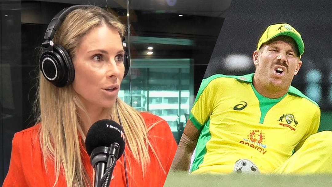 Article heading image for LISTEN | Candice Warner Shares The Extent Of Dave Warner's Groin Injury 