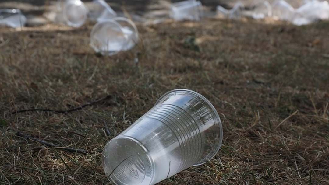 Article heading image for TRC Councillor Calls for Plastic’s Ban