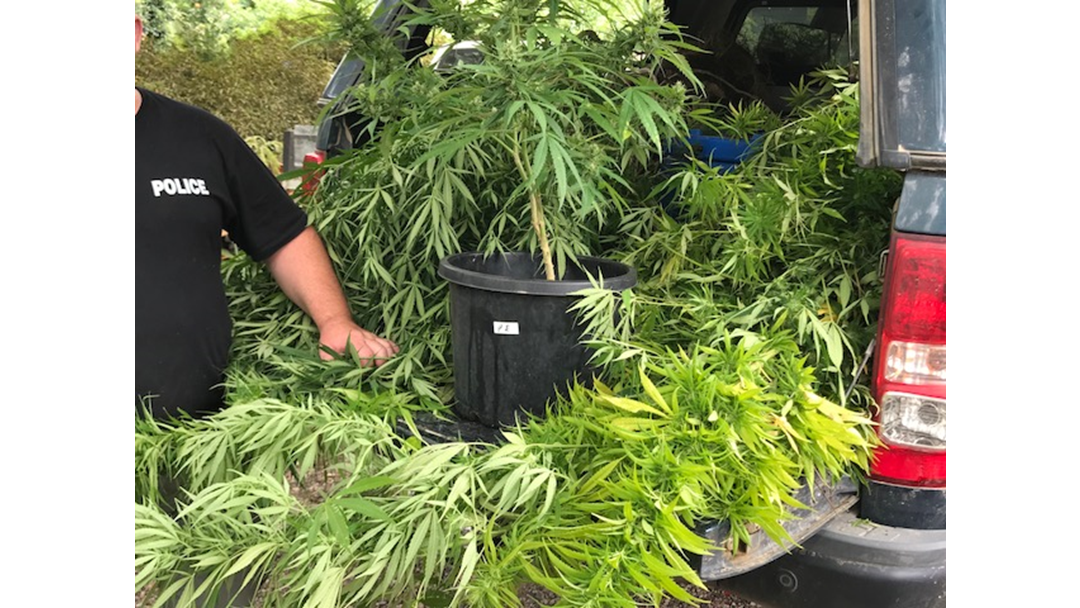 Article heading image for Cannabis Seized From South Kempsey Home