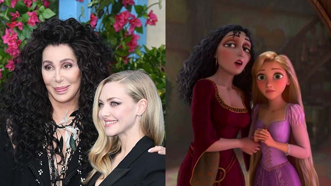 Article heading image for Cher And Amanda Seyfried Look Exactly Like Rapunzel & Mother Gothel!
