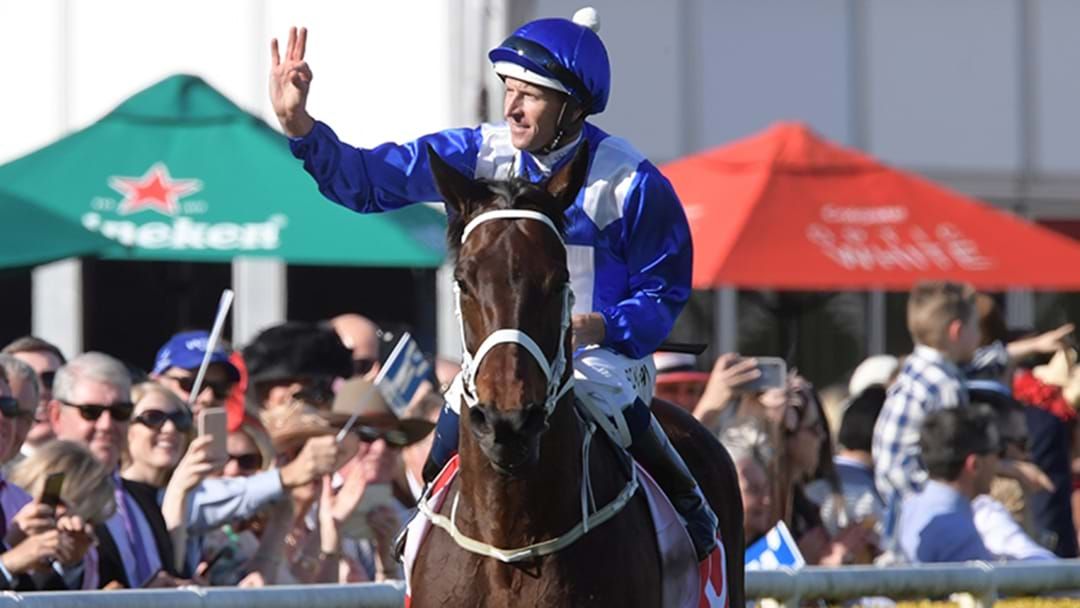 Article heading image for Some Madman Has Just Dumped $170,000 On Winx To Win The Turnbull Stakes
