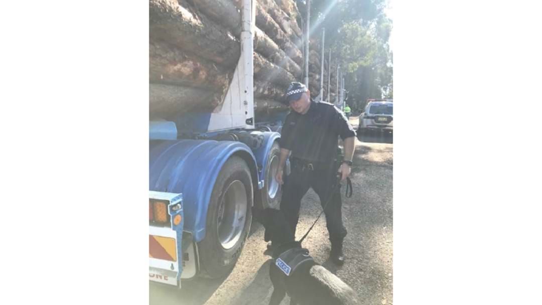 Article heading image for Logging trucks inspected during operation targeting drug supply