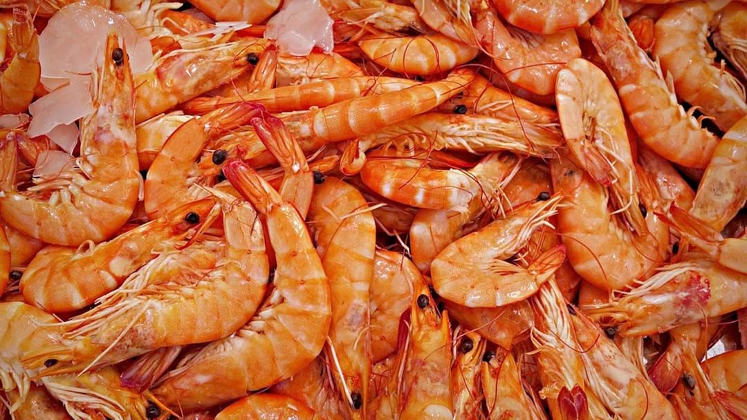 Article heading image for Prawn Shipment Tests Positive To White Spot Disease