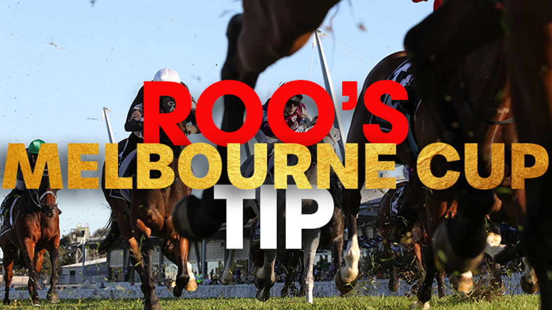 Article heading image for Roo's MELBOURNE CUP Tips