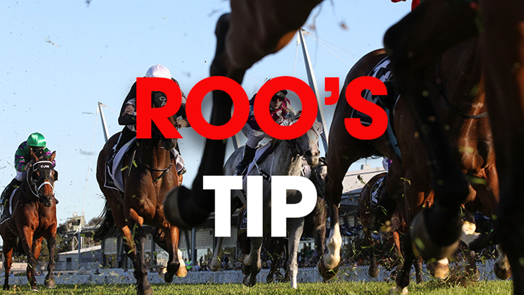 Article heading image for Roo's Tip: 20th November