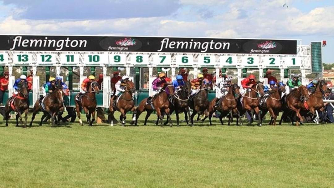 Article heading image for Minor Public Allocation As Flemington Prepares For Cup Day Crowds
