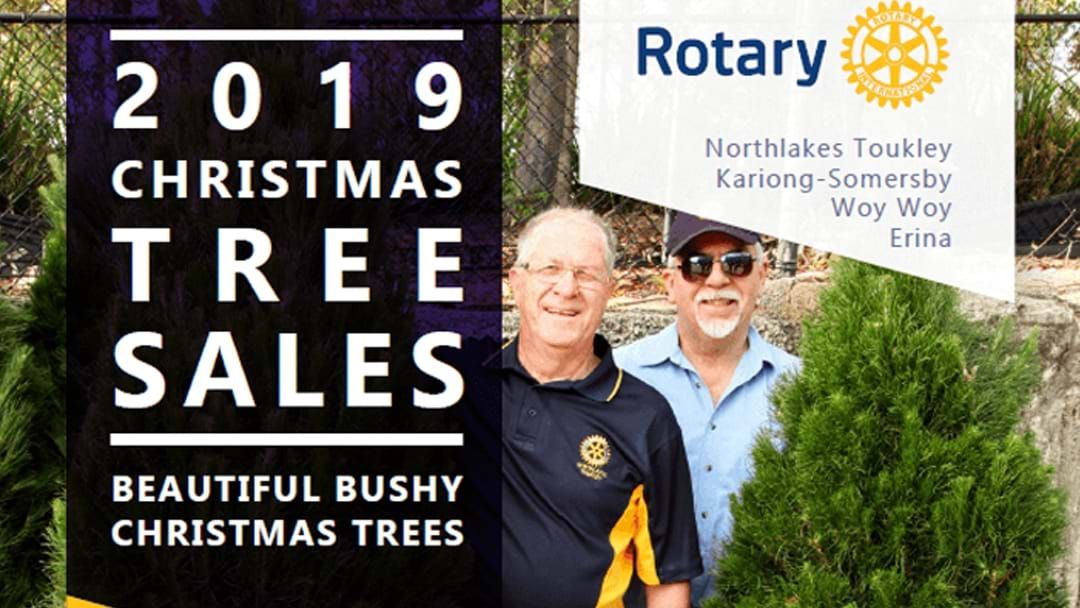 Article heading image for Rotary Clubs Central Coast Annual Christmas Tree Sale