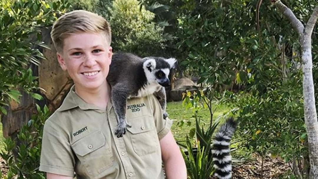 Article heading image for Robert Irwin Gets Emotional Over Devastating Impact The Aussie Bushfires Have Had On Wildlife 