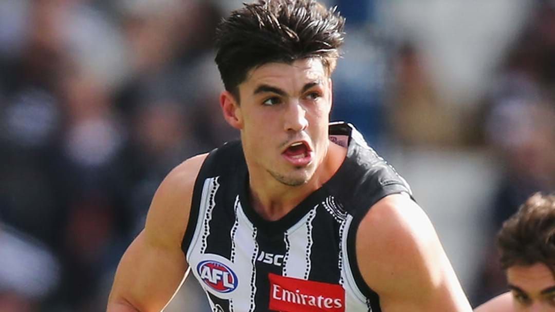 Article heading image for Brayden Maynard Signs Contract Extension At Collingwood