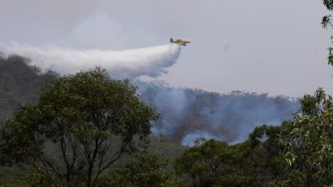 Article heading image for How You Can Help Those Affected By The Gladstone Region Bushfires