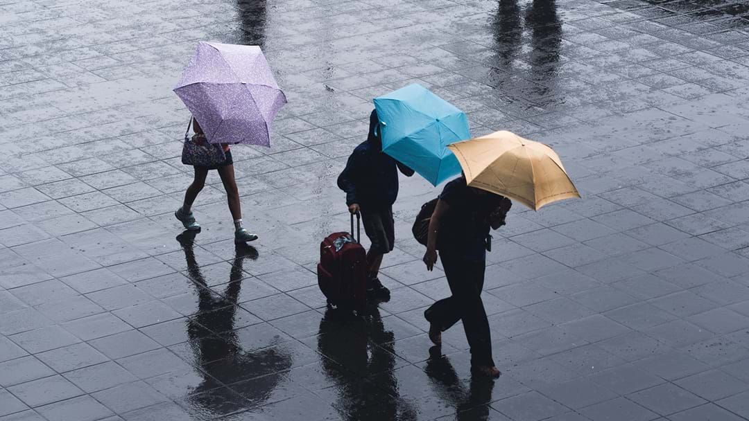 Article heading image for Adelaide Records Wettest August in Four Years