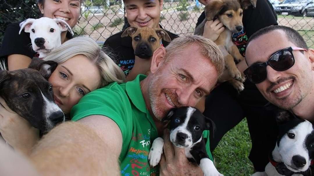 Article heading image for How You Can Walk All The Dogs At Townsville RSPCA