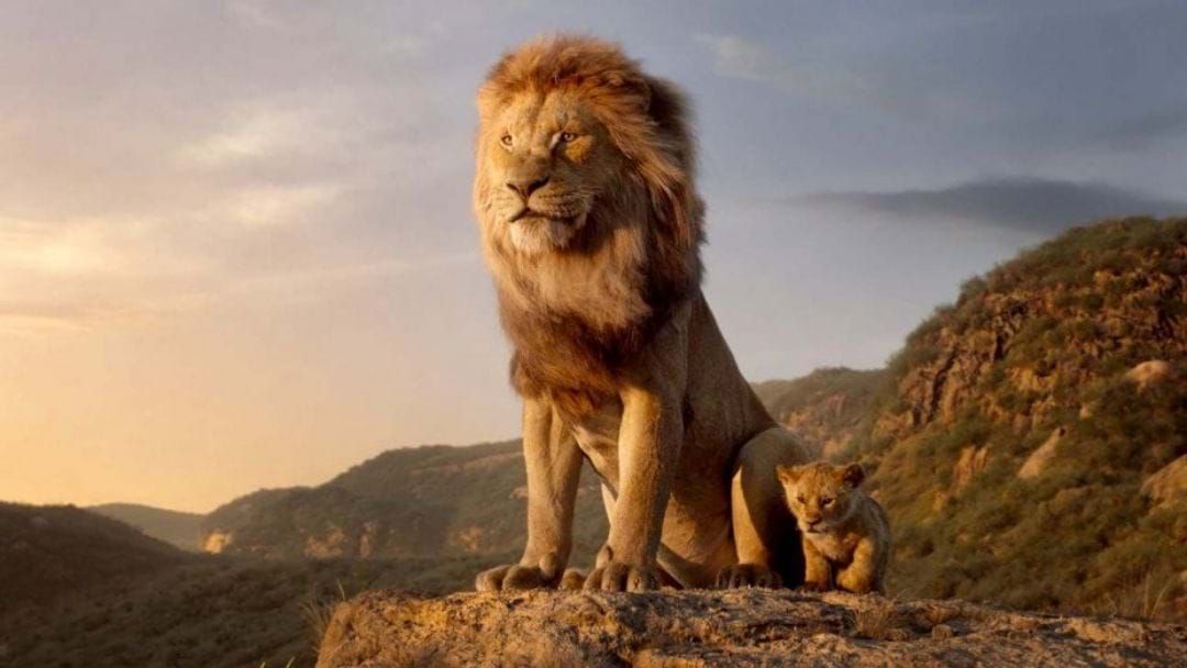 Article heading image for The Lion King Is Now Helping Local Fundraisers 