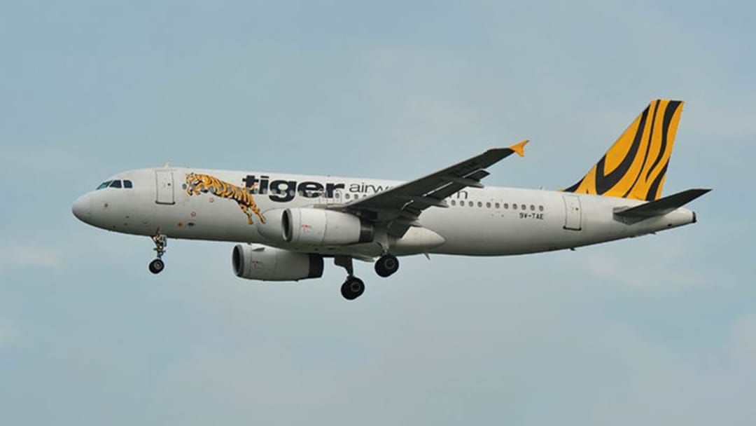 Article heading image for NOT A DRILL: TIGERAIR OFFERING $1 FLIGHTS FROM CANBERRA TO MELBOURNE