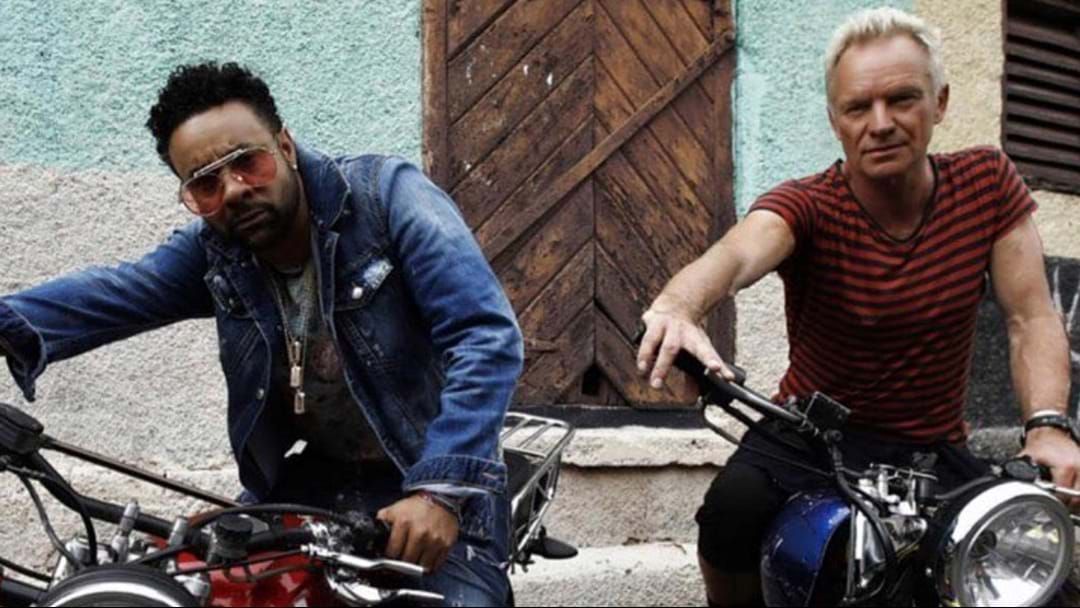 Article heading image for Sting Is Releasing An Album With Shaggy