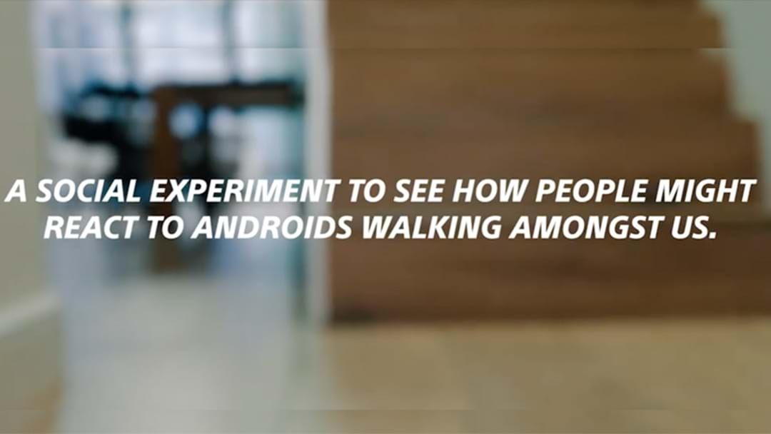 Article heading image for Bizarre Social Experiment With Androids In Sydney