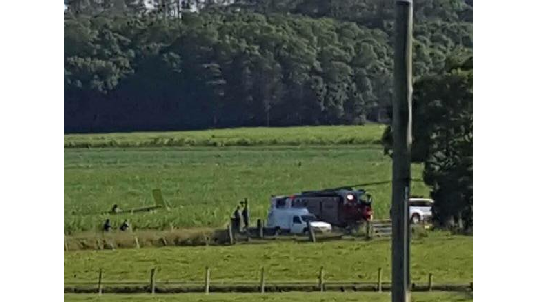 Article heading image for Light plane crashes into cane field 