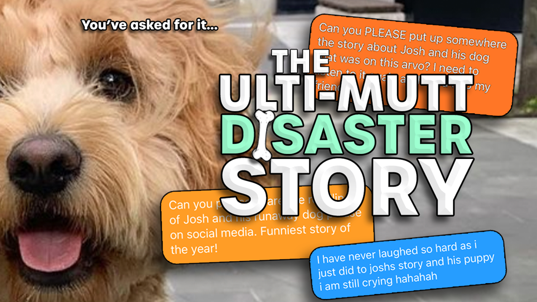 Article heading image for The ULTI-MUTT Disaster Story