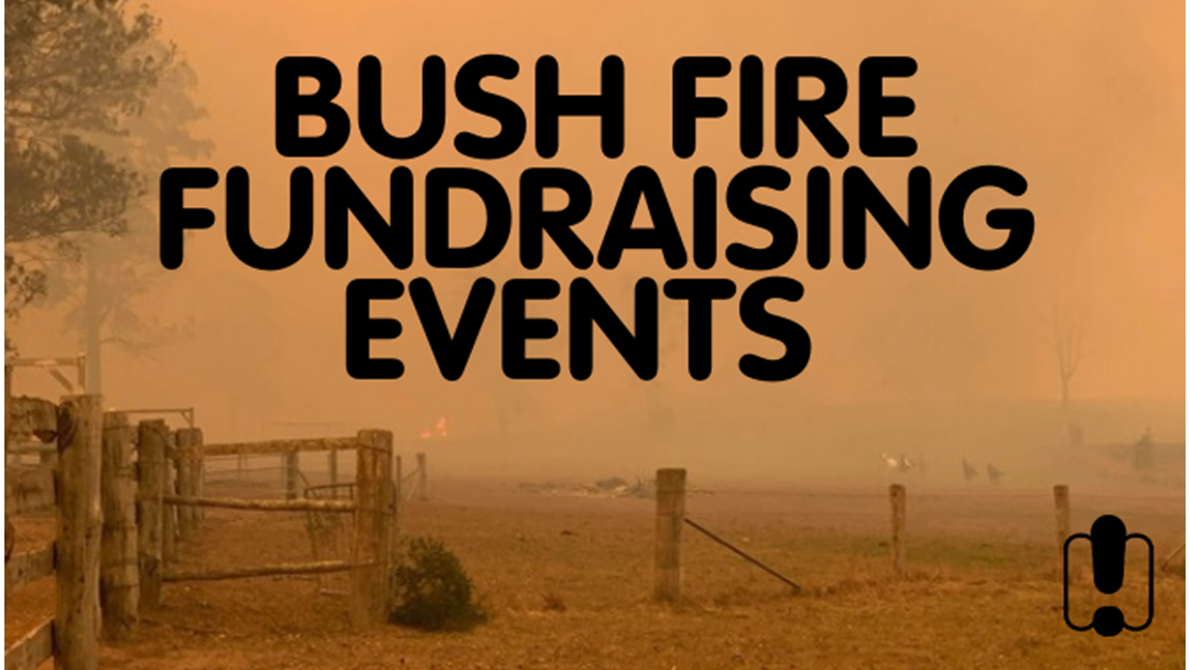 Article heading image for Bush fire Fundraising Events This Weekend On The Coffs Coast