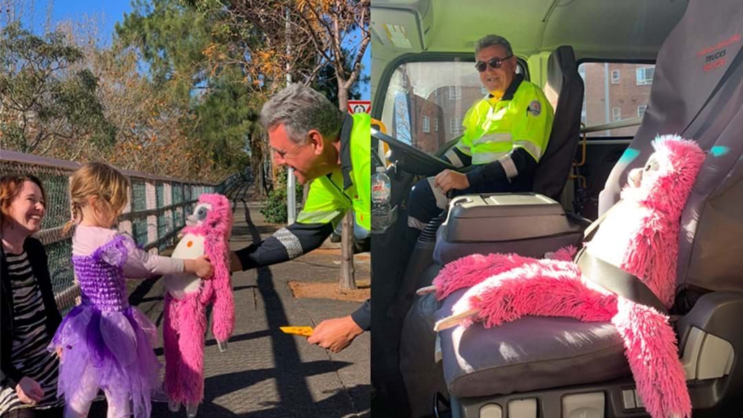 Article heading image for ‘Slothie’ The Sloth Has Been Reunited With His Family After Being Found On The Sydney Harbour Bridge