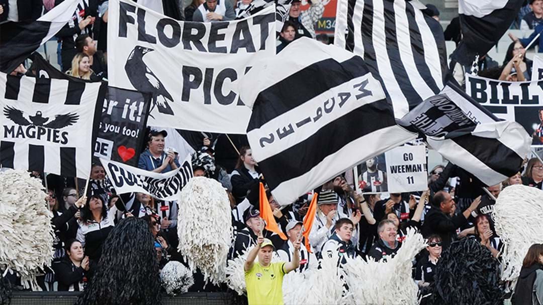 Article heading image for Collingwood Book Their First Finals Appearance In Five Years