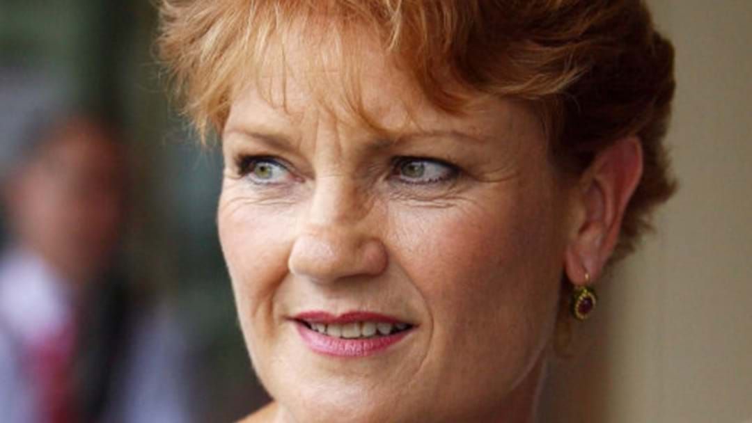 Article heading image for Pauline Hanson Apologises For Vaccine Comments