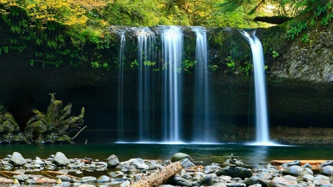 Article heading image for 5 Gold Coast Waterfalls That'll Get You Outta Town And Into Nature