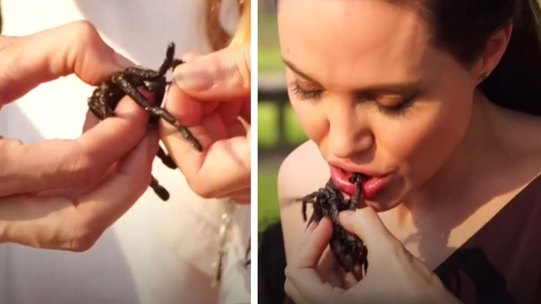 Article heading image for Angelina Jolie Tucks Into A Tarantula... No Problems!