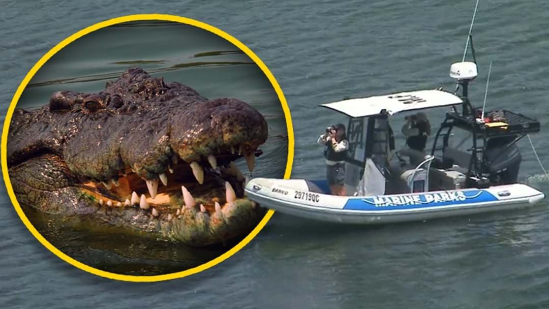 Article heading image for Croc Sighting! | Rangers Continue Search Around Stradbroke Island  