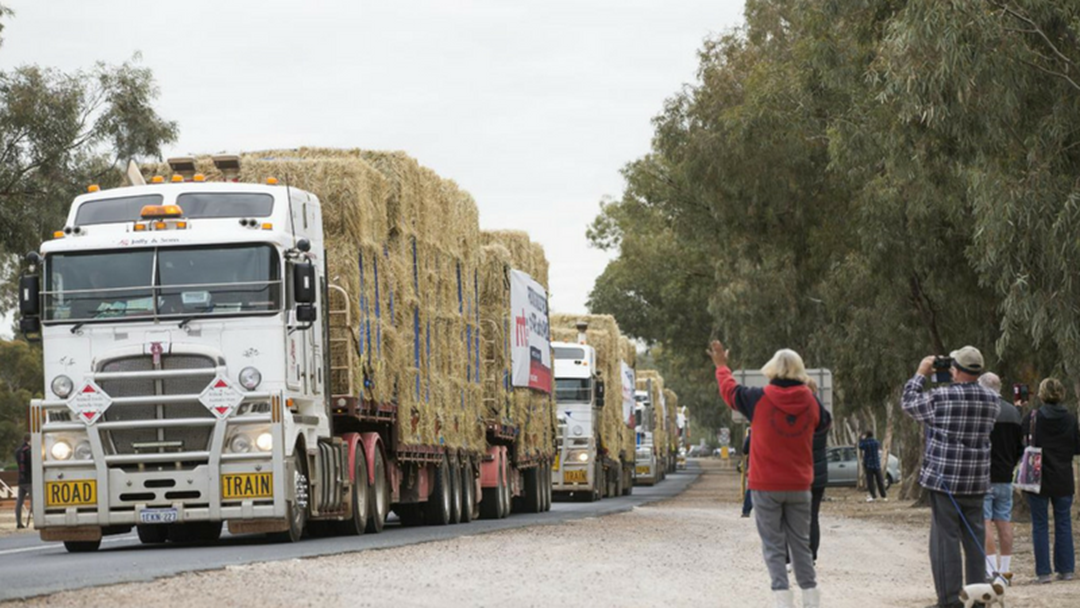 Article heading image for Mass Hay Donation Brings Much Needed Boost To Local Drought-Affected Farmers