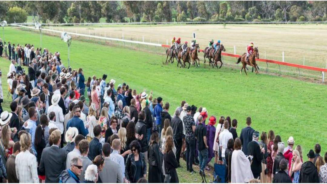 Article heading image for Toodyay Picnic Races