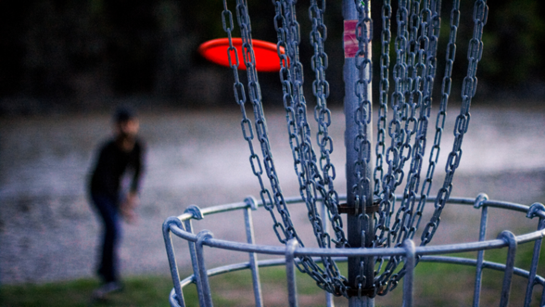Article heading image for Disc Golf Coming to KidsTown