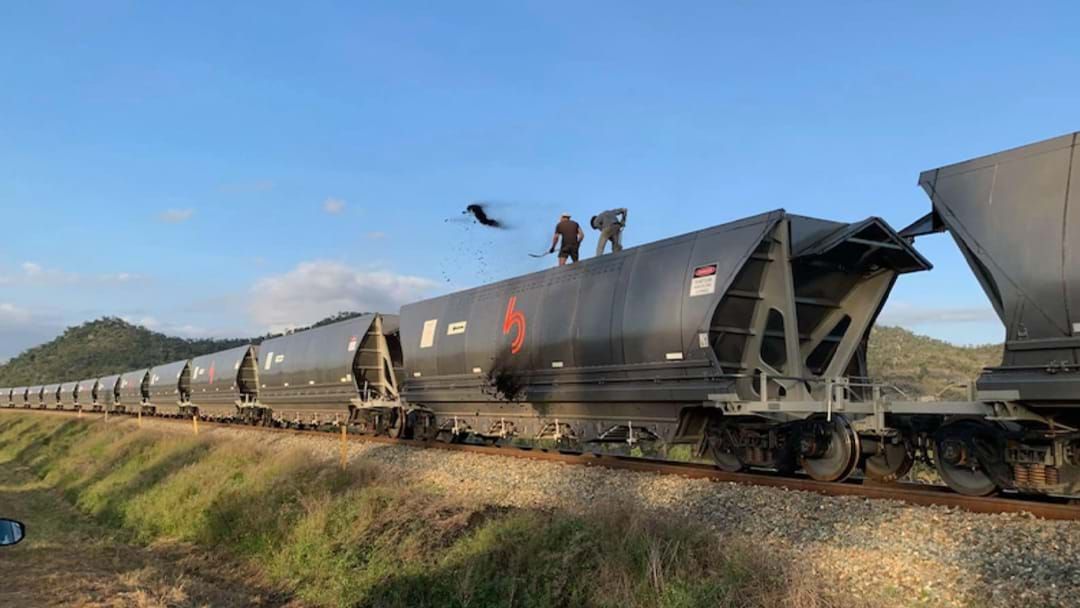 Article heading image for Climate Activists Arrested For Jumping Aboard A Coal Train