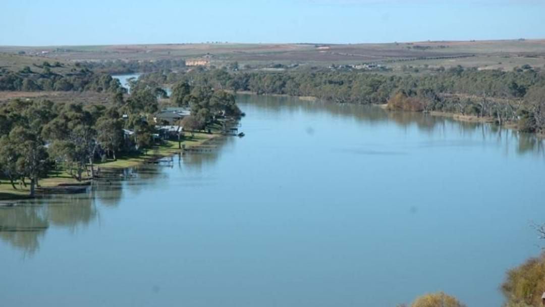 Article heading image for Convoy Heading To Canberra To Protest The Murray-Darling Basin Plan