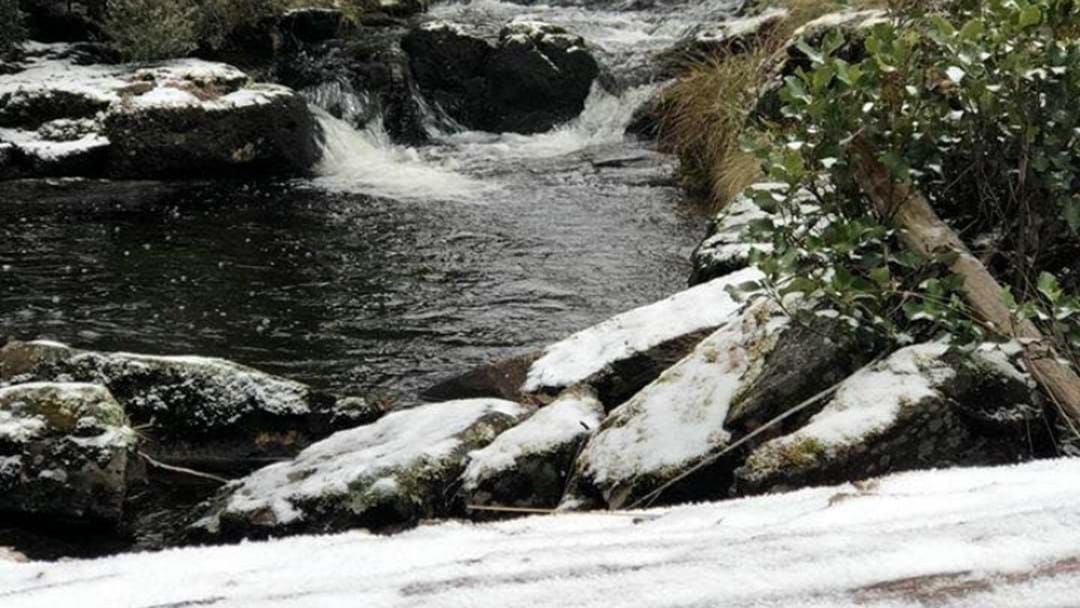 Article heading image for First Snow Of The Season Forecast For Barrington Tops!