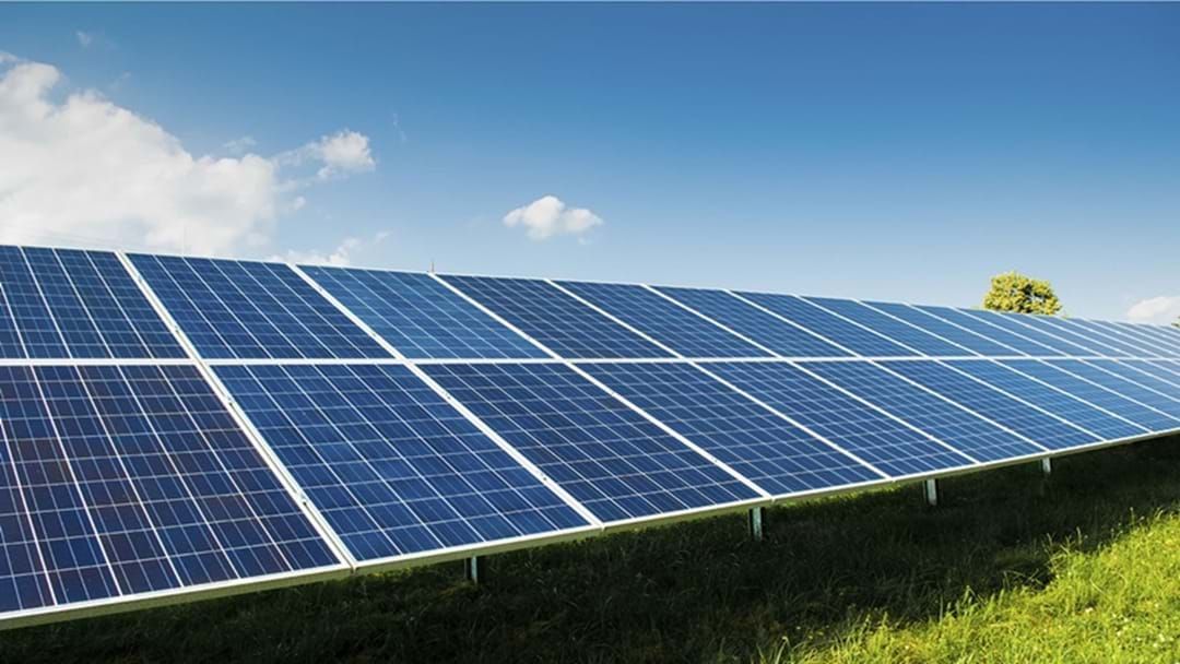 Article heading image for Bomen solar farm gets approval