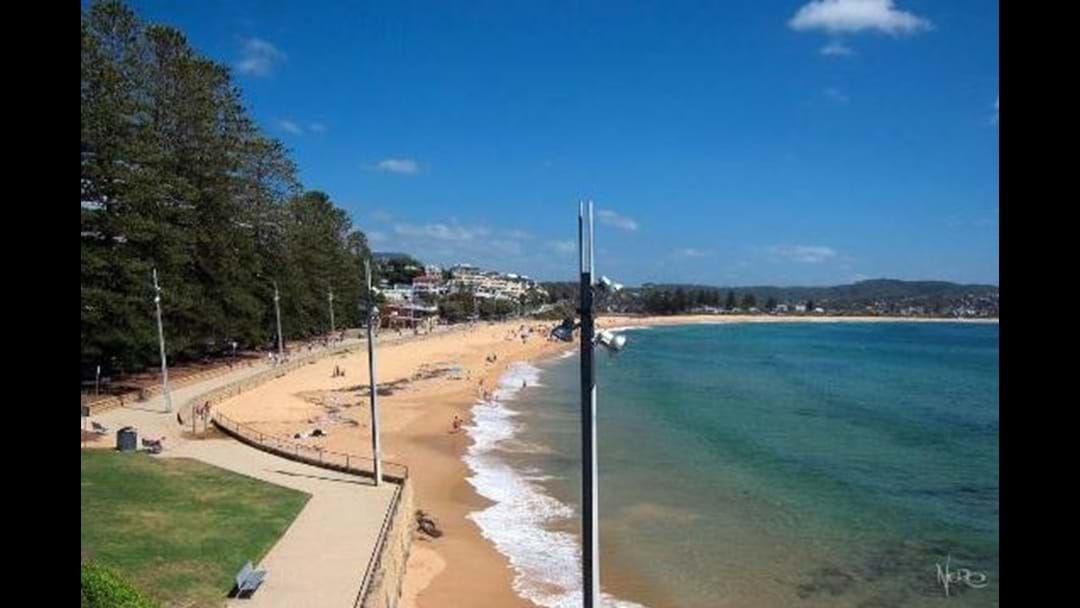 Article heading image for Poor Water Quality Sees Terrigal Beach Closed Until Further Notice
