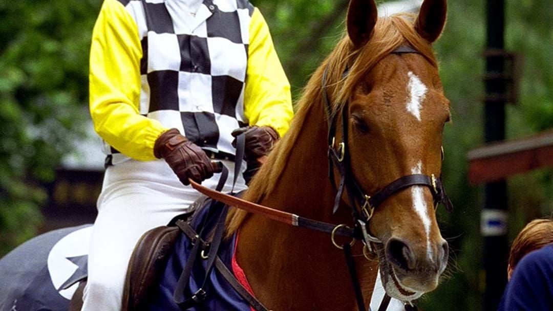 Article heading image for Champion Melbourne Cup Winning Horse Saintly Dies