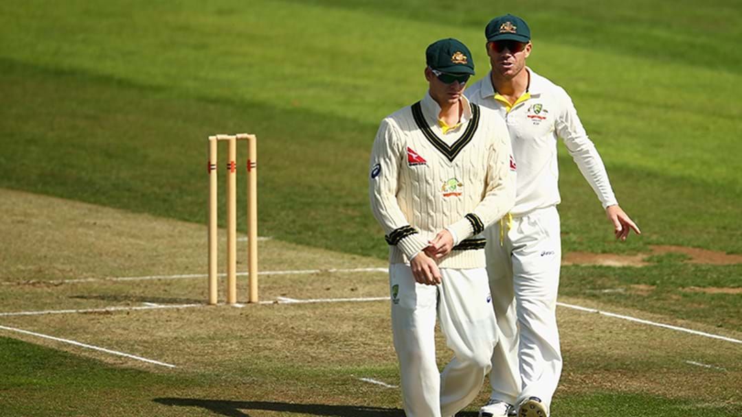 Article heading image for Steve Smith And David Warner Have Stood Down From The Captaincy And Vice-Captaincy