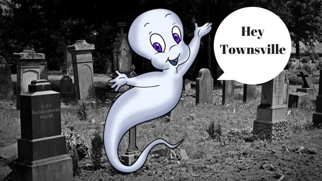 Article heading image for Townsville Council Hunting Grave Digger (for real)