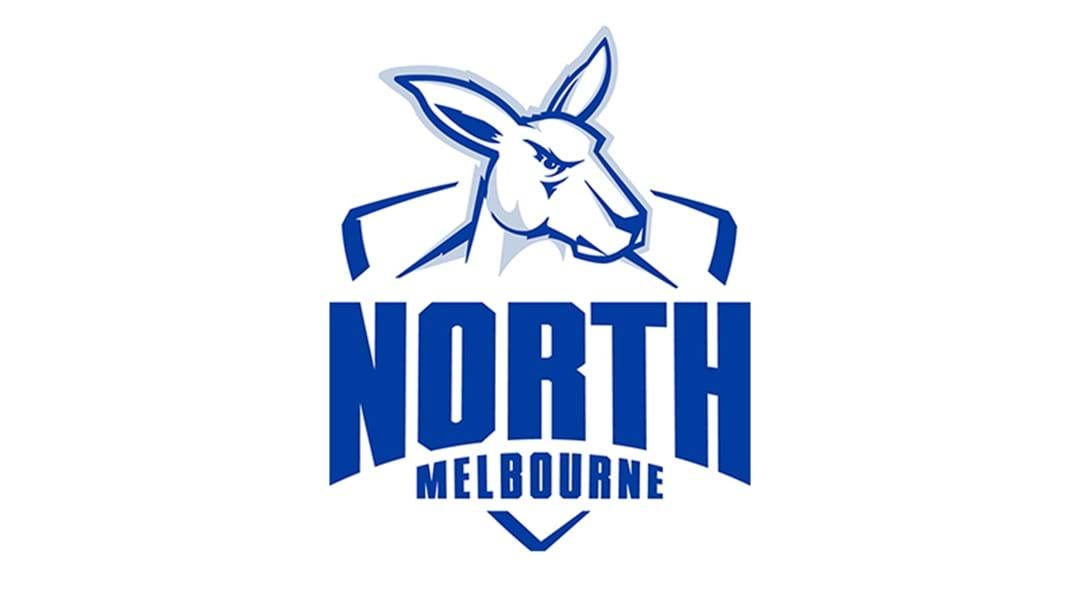 Article heading image for North Melbourne Defender Out For The Season