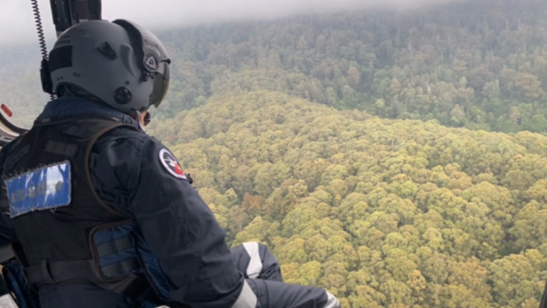 Article heading image for MISSING: Search Underway for Missing Plane West of Coffs Harbour 