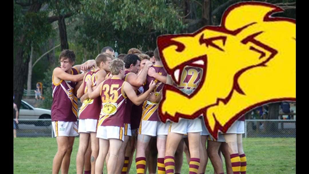 Article heading image for The Nunawading Lions' Winless Streak is Over!