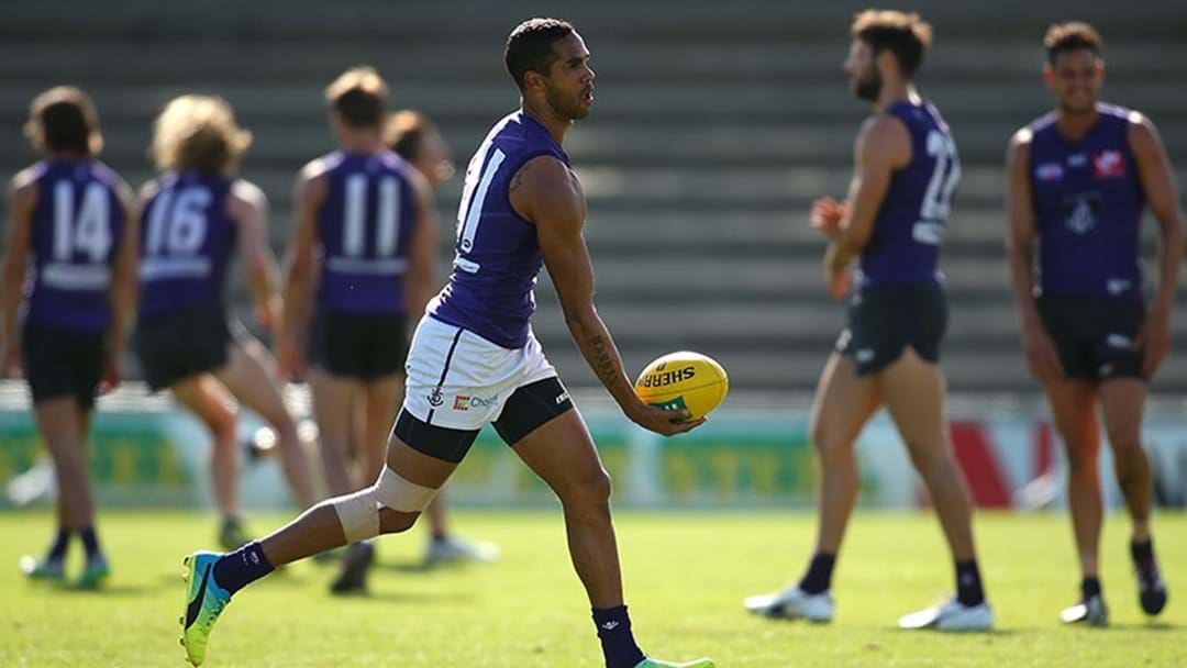 Article heading image for Former Docker Shane Yarran Has Died