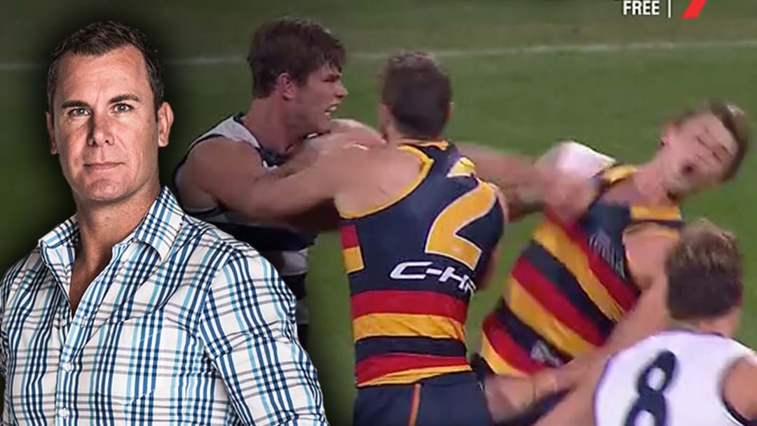 Article heading image for Duck's Verdict On Tom Hawkins' Jumper Punch