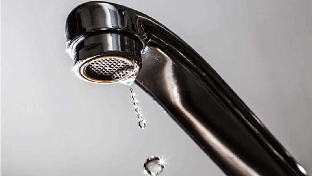 Article heading image for Mackay Region Water Wins Top Drop