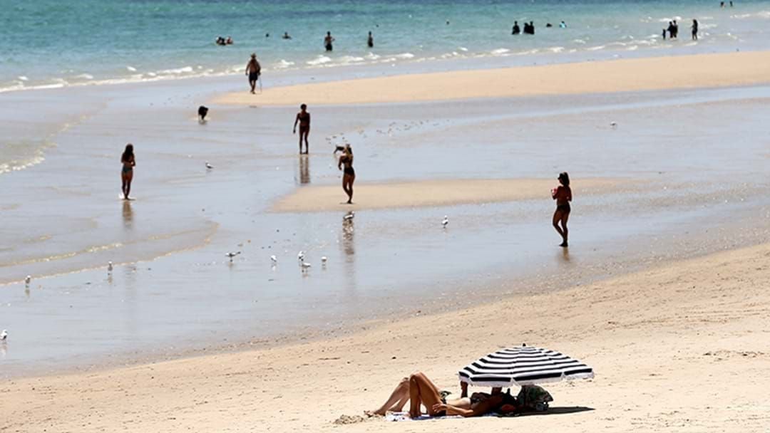 Article heading image for January Was Australia's Hottest Month Since Records Began