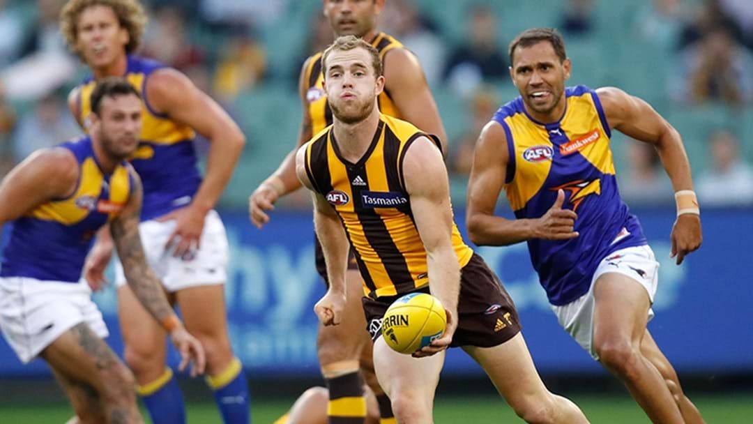 Article heading image for Tom Mitchell Has Set An Impressive AFL Record This Season
