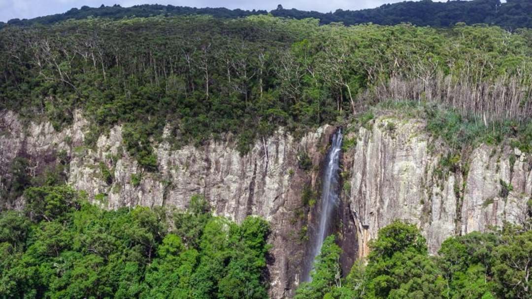 Article heading image for Man Rescued After Falling 20 Metres Down Cliff At Springbrook 